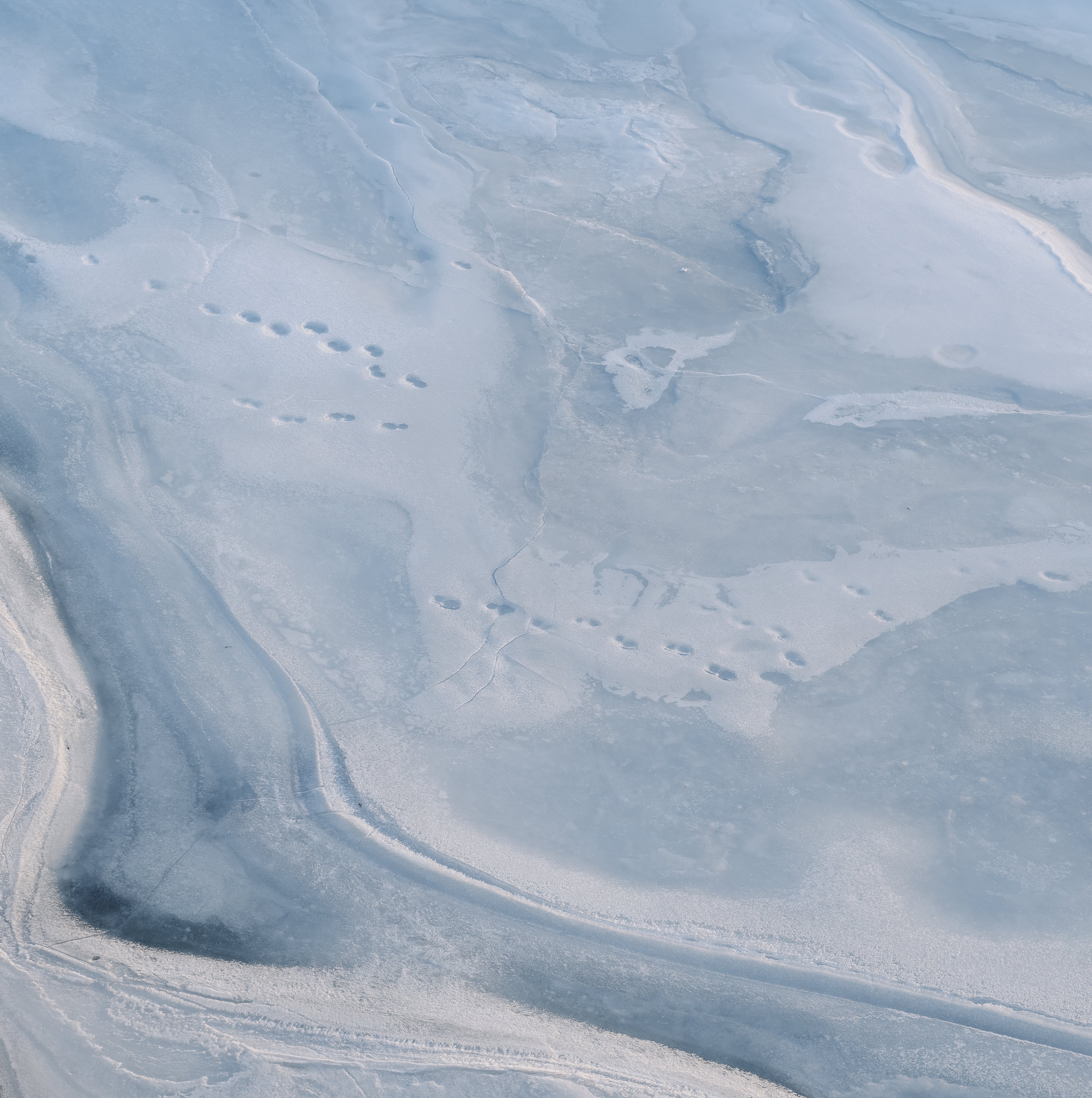 Sway Heavyweight Beanie